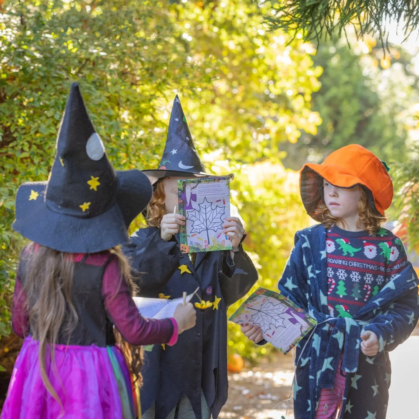 Leonardslee-Halloween-Trail-2.jpg