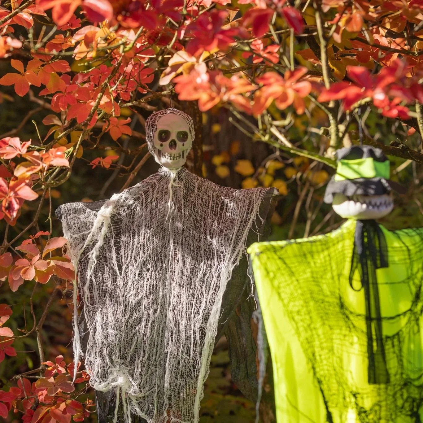 Leonardslee-Halloween-Trail-22.jpg