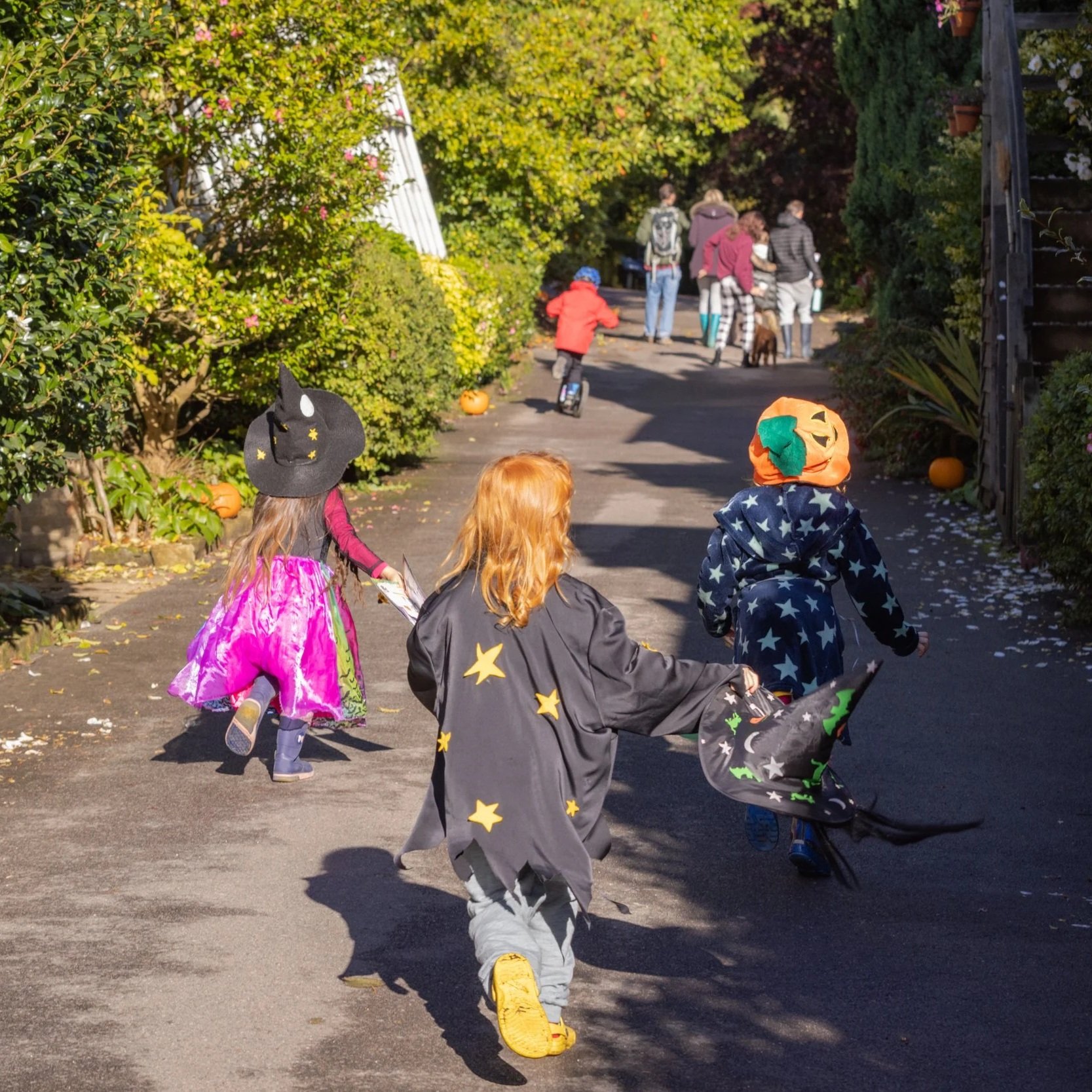 Leonardslee-Halloween-Trail-4.jpg