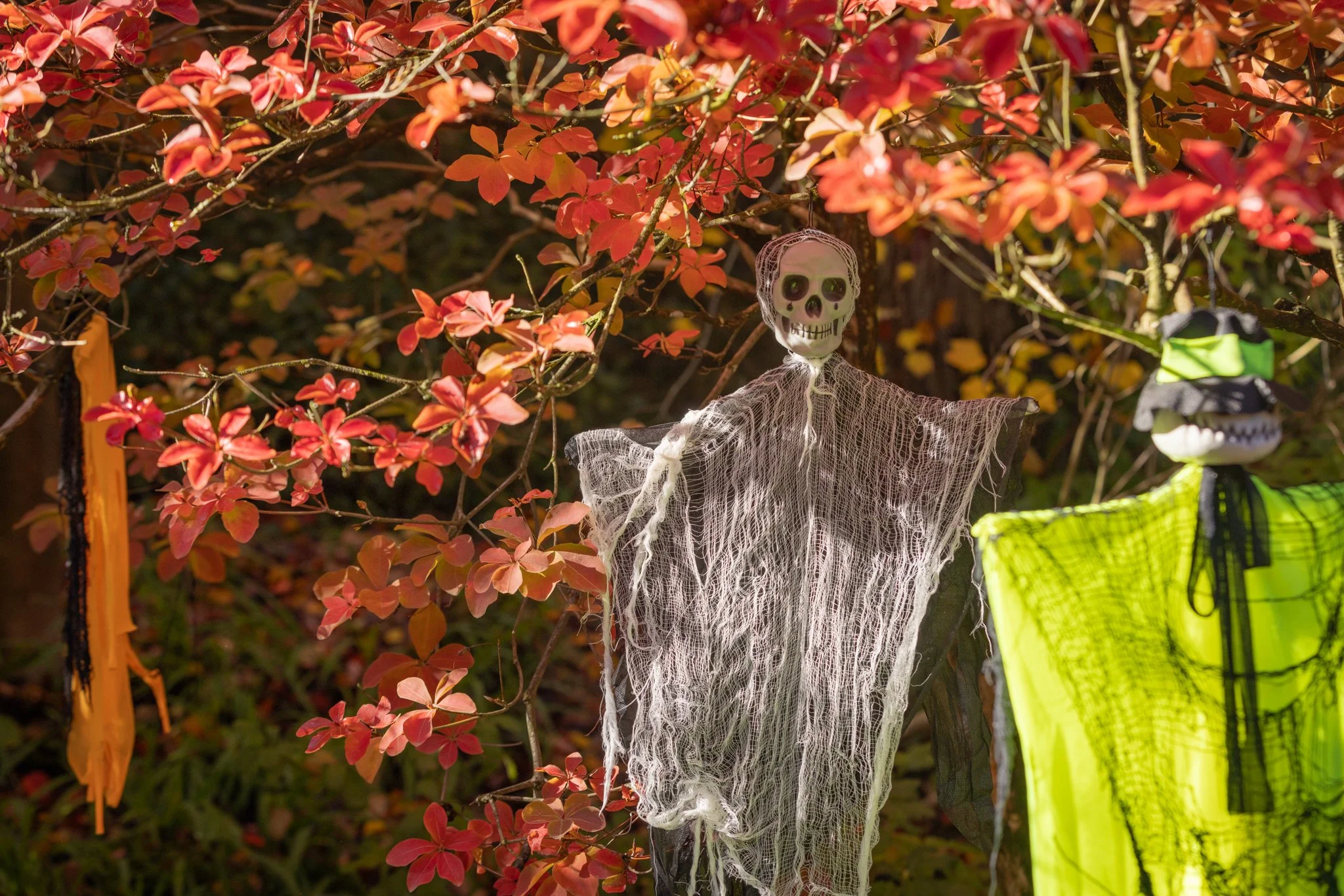 Halloween at Leonardslee: The Potion Master’s Quest