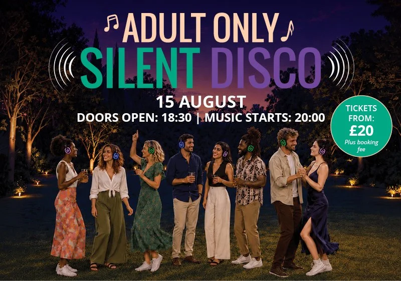 Adults Silent Disco