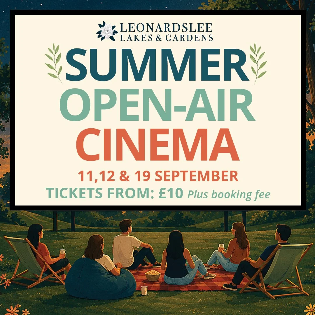 Summer Open-air Cinema 