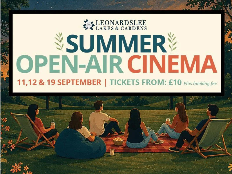 Summer Open-air Cinema 