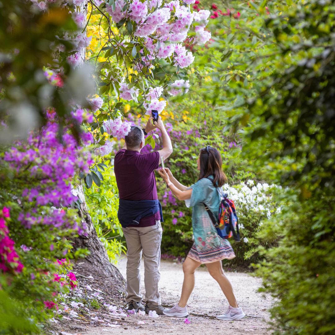 Gardens at LLG.png
