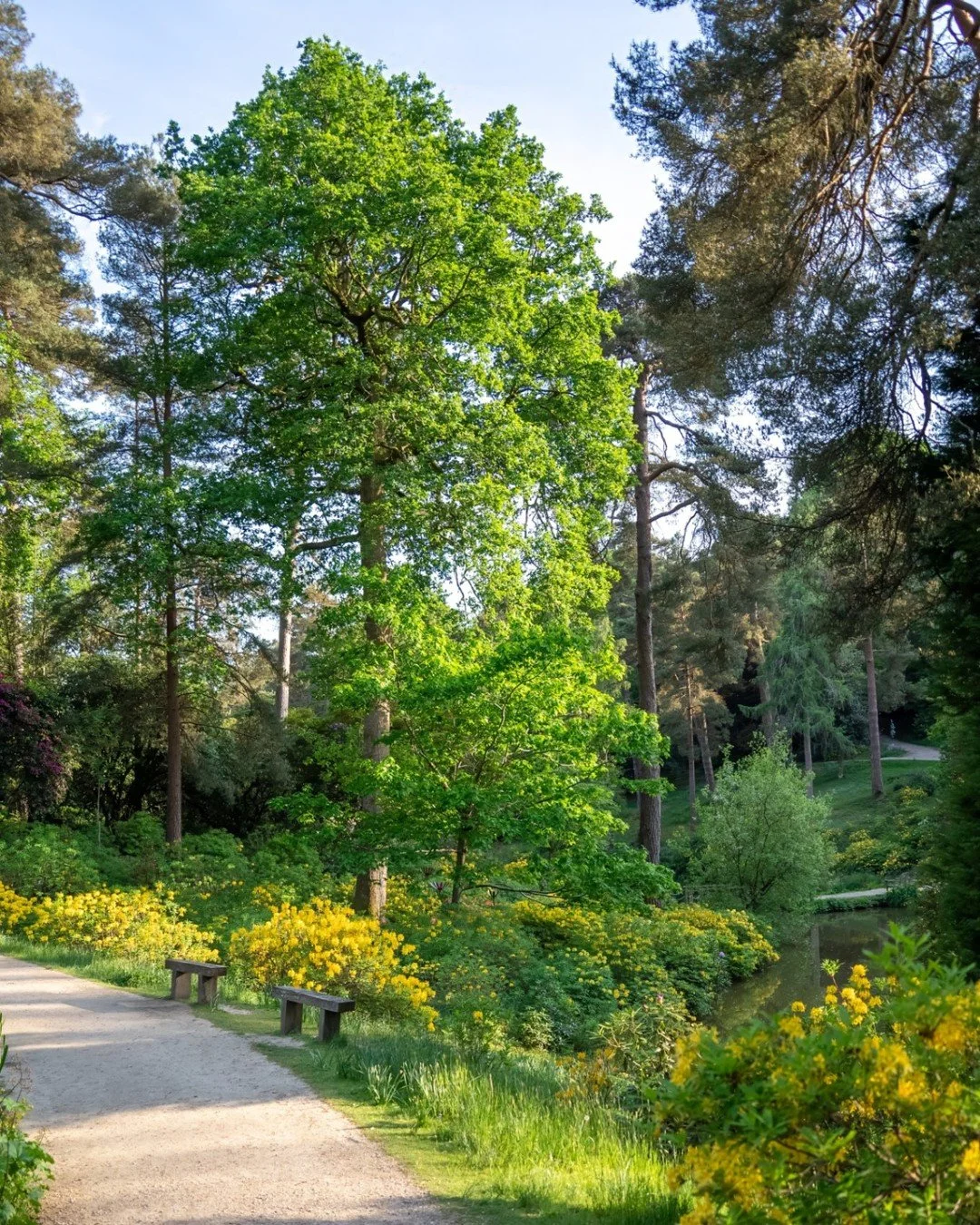 Mid-July moments 🌿☀️

The gardens settle into a different rhythm at this time of year &mdash; lush greenery, dappled sunlight, and still waters reflecting it all back ✨

A view that invites you to pause for a moment and simply take it in 💚