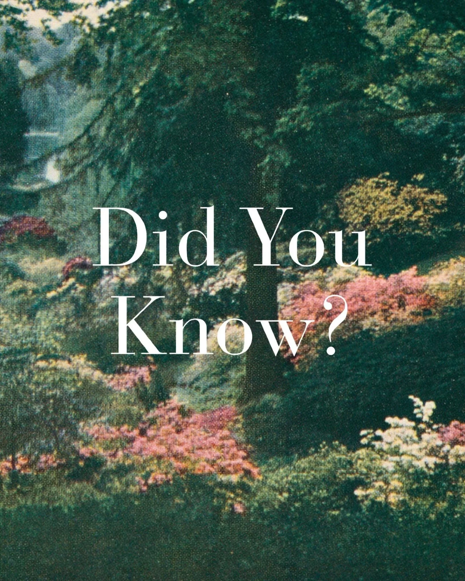 Did you know Leonardslee&rsquo;s story begins with a royal gift? 👑🌿

The land was once part of the ancient St Leonard&rsquo;s Forest and was granted by King Charles II to his physician, Sir Edward Greaves. Long before the gardens we know today, thi