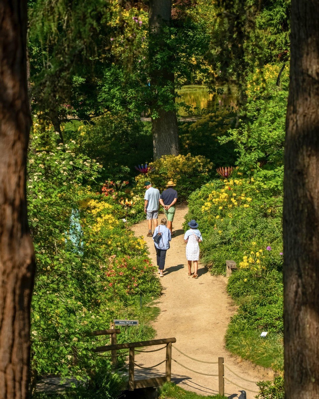 The quieter side of summer 🌿☀️

A gentle stroll through the gardens, surrounded by seasonal colour and birdsong, is sometimes all you need to slow down and switch off for a while ✨

Those simple summer moments are often the best ones 💚