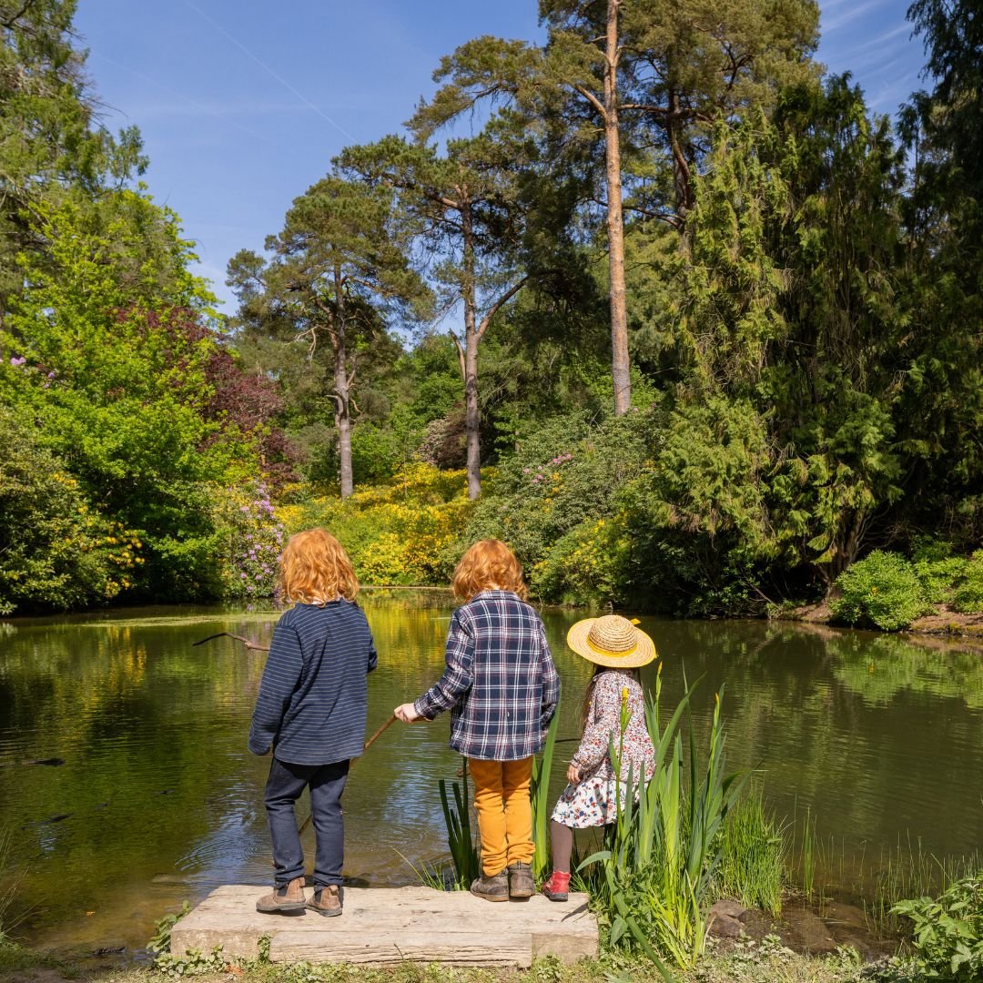 Why Summer Is the Perfect Time to Become a Leonardslee Member