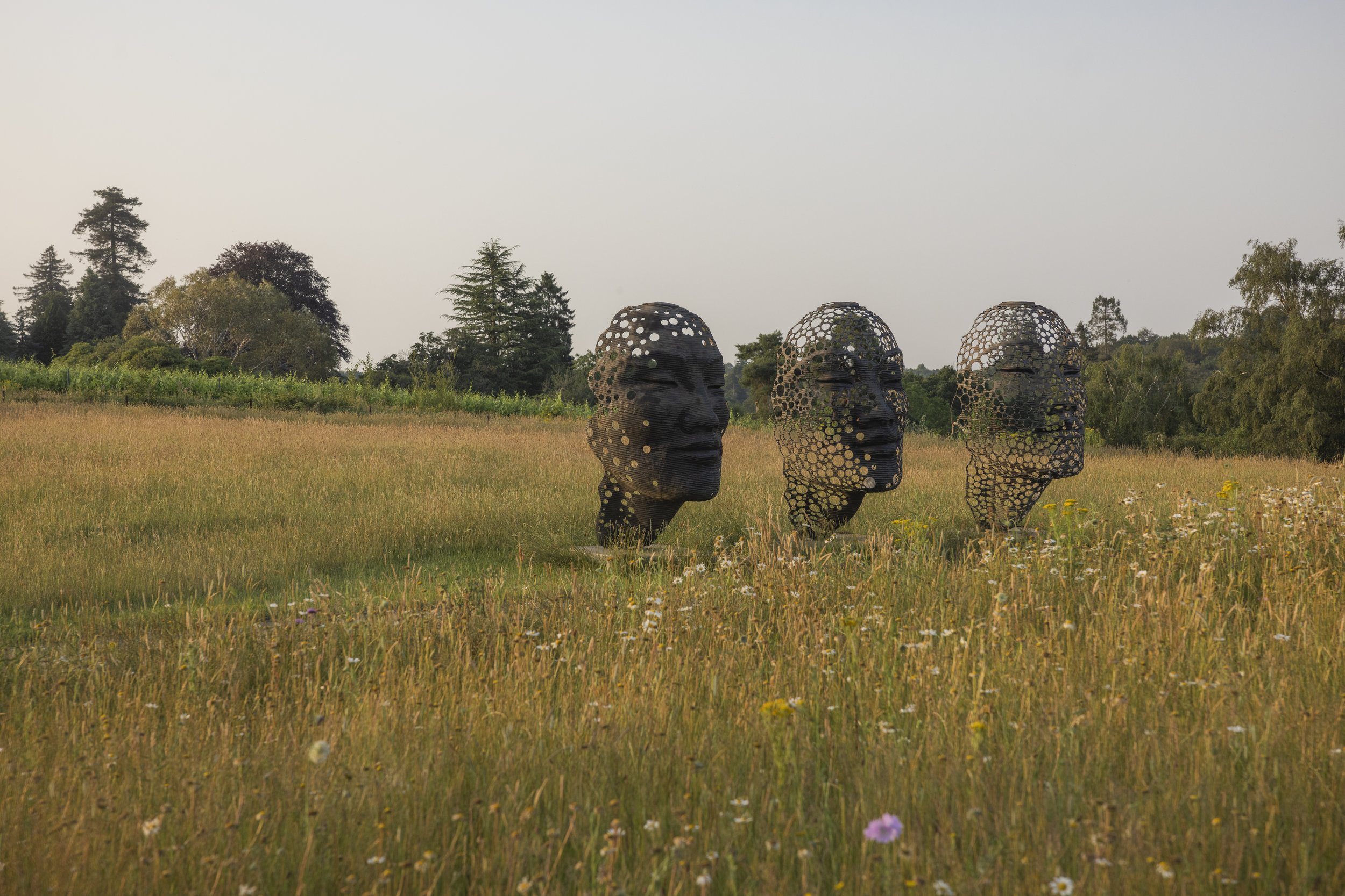 Leonardslee Stream of conciousness statue and wildflower .jpg