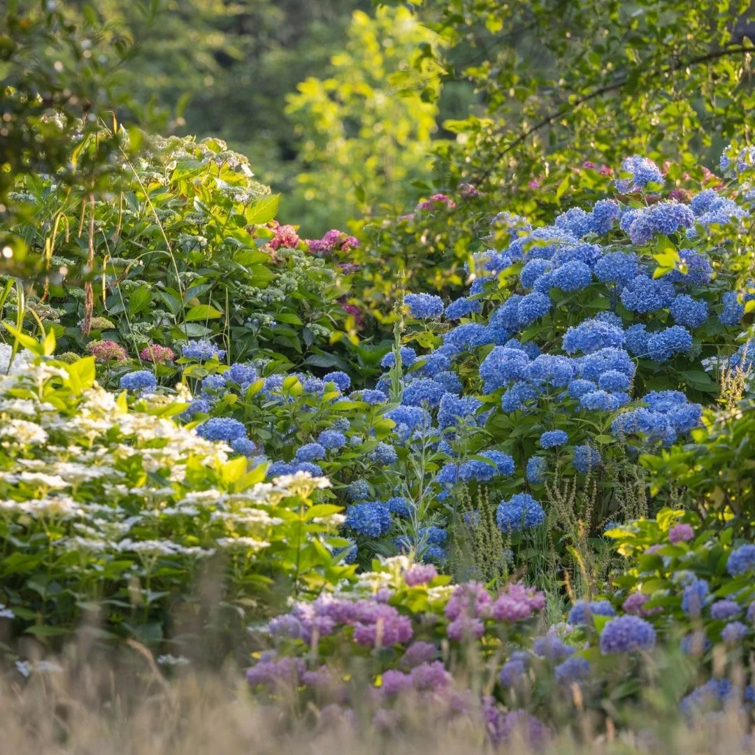 Leonardslee Gardens  (3).jpg
