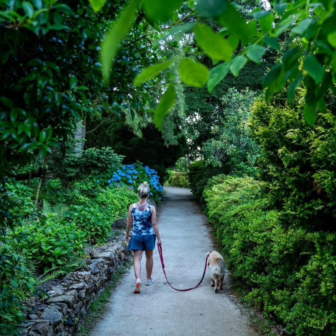 A Mindful Summer Walk Through Leonardslee
