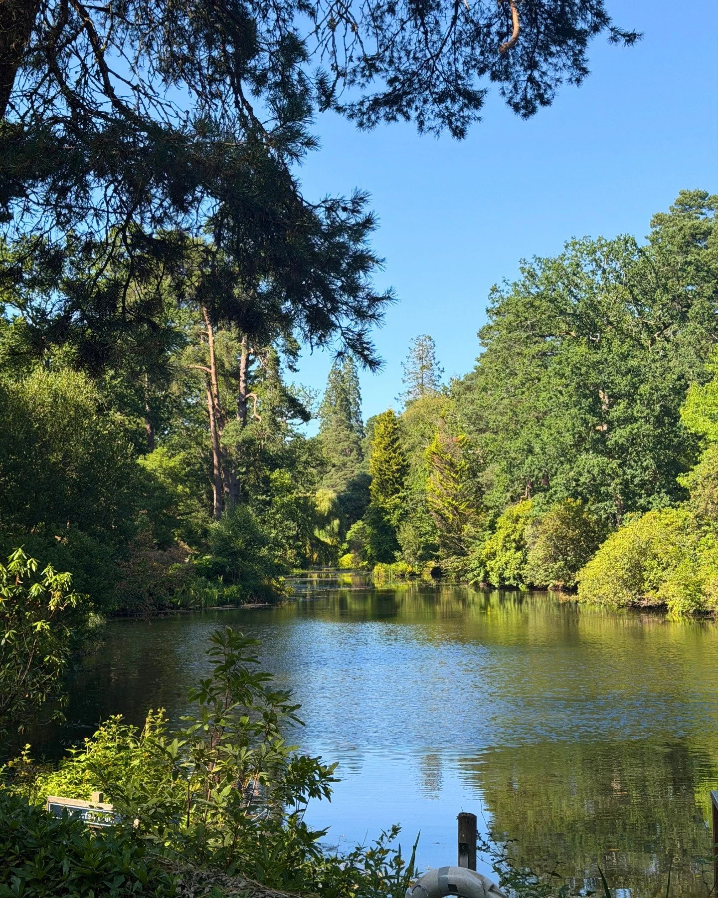 Some views never lose their magic. 🌿

A peaceful moment by the lakes, where towering trees, still waters and birdsong create the perfect place to slow down and take it all in. 💚

#Leonardslee #NatureEscape #VisitSussex #GardenViews #WestSussex #Lak