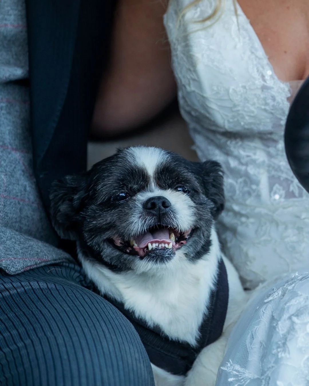 Leonardslee Weddings (13).jpg