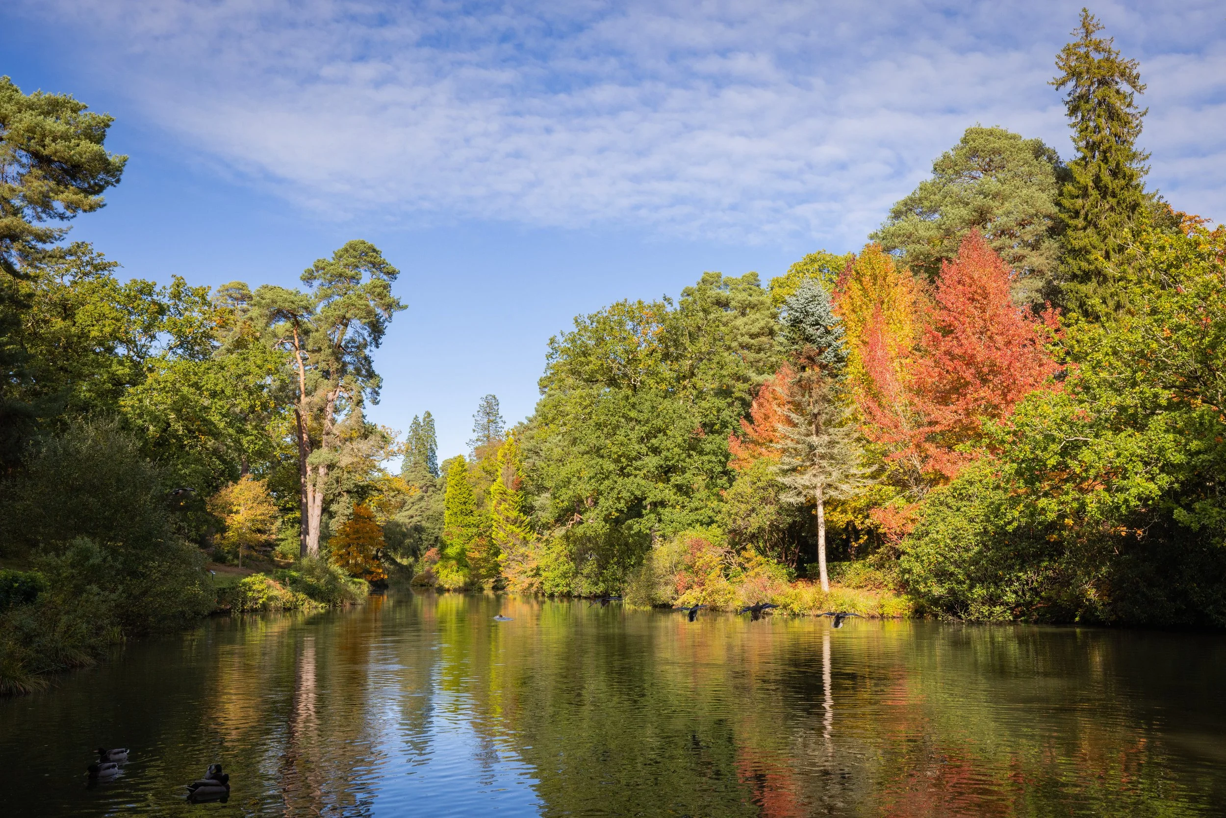 Autumn.jpg