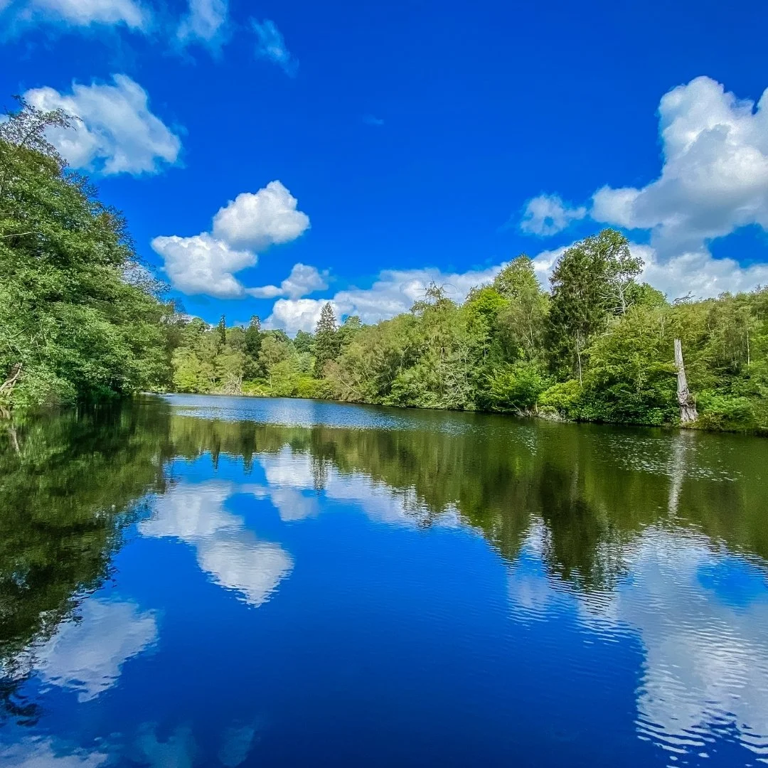 Summer Reflections and Hidden Life&nbsp;