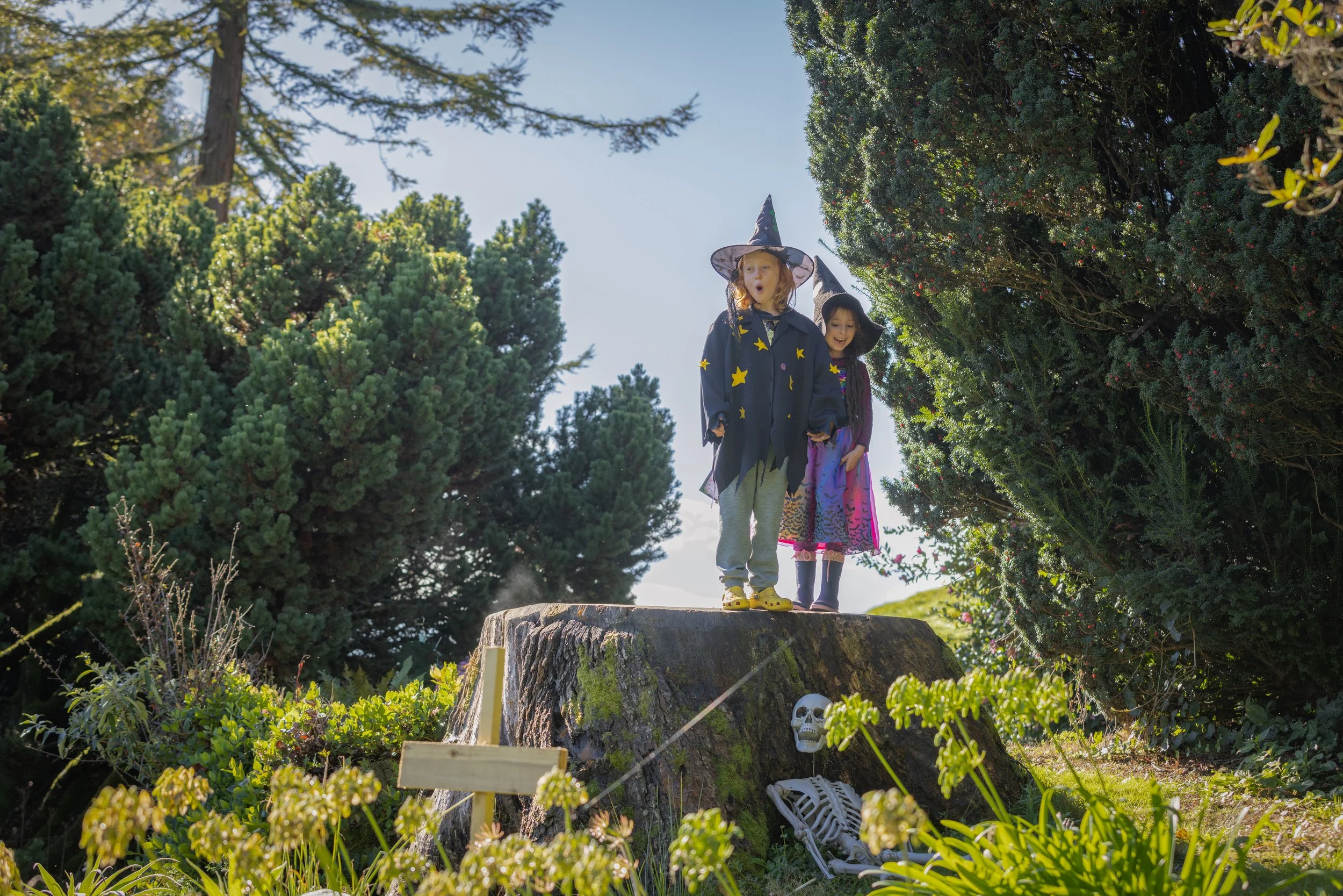 Halloween Half-Term Things to Do in Sussex&nbsp;