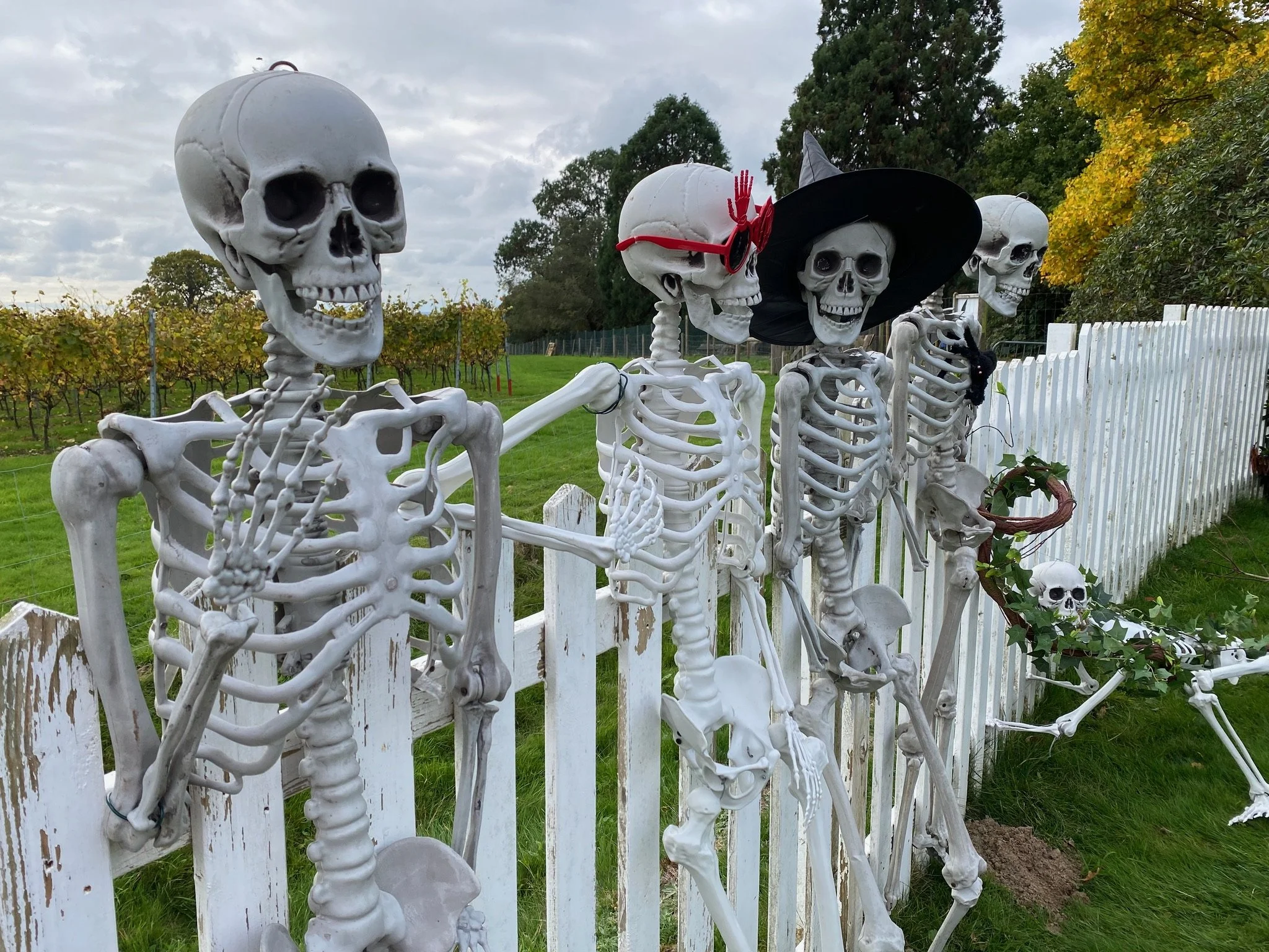 Halloween LLG.jpg