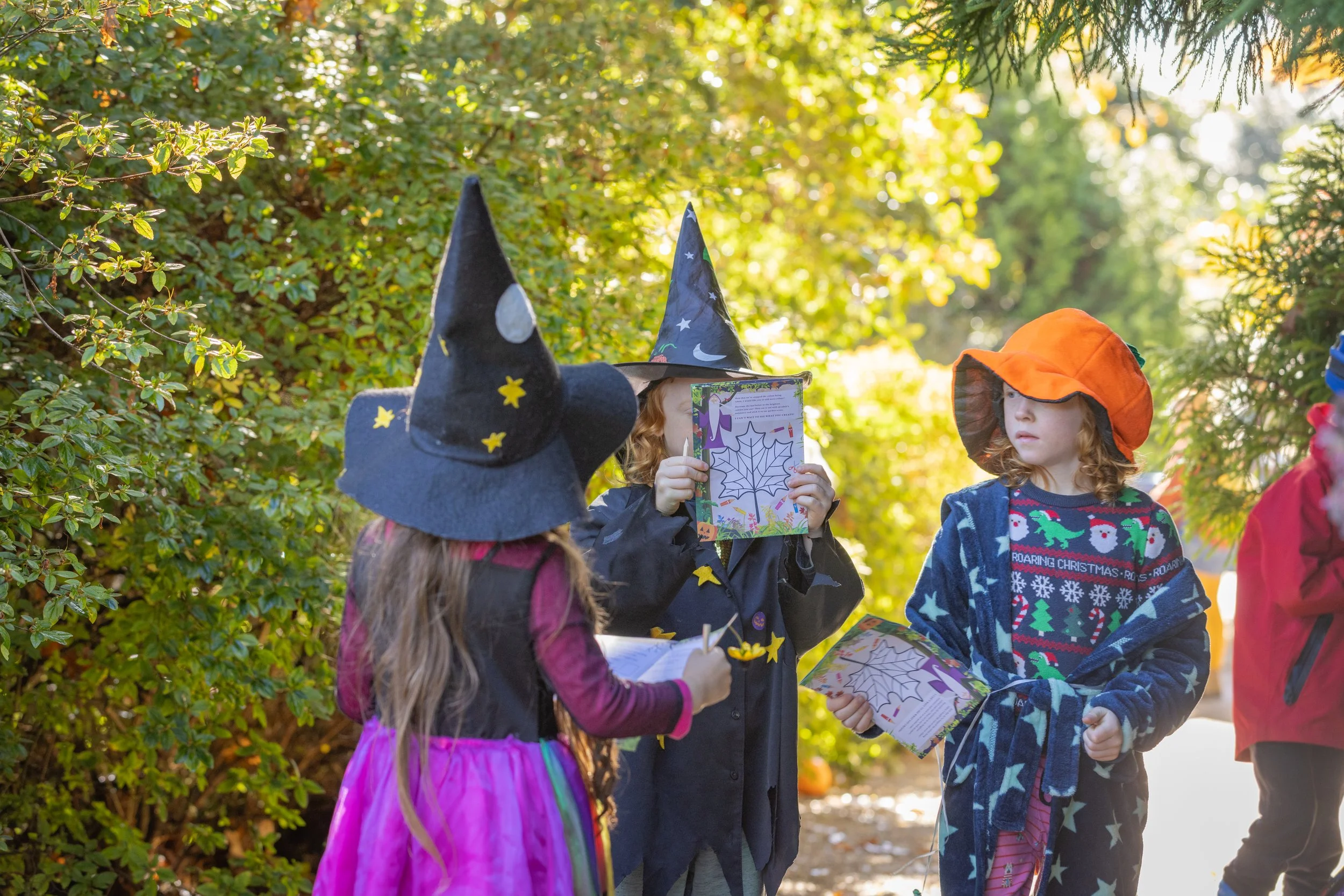 Halloween Trail at LLG.jpg