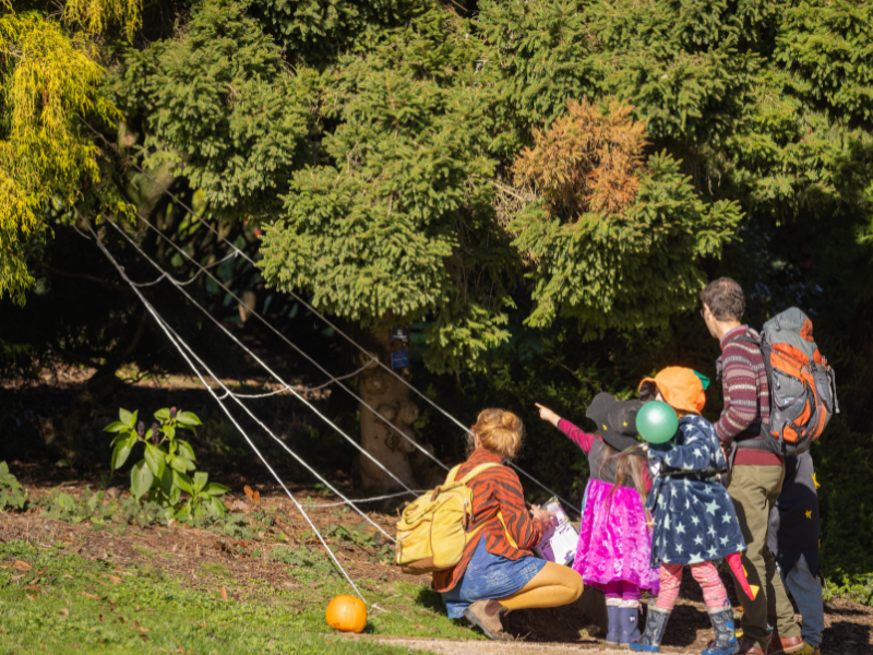 Halloween for Younger Children in Sussex