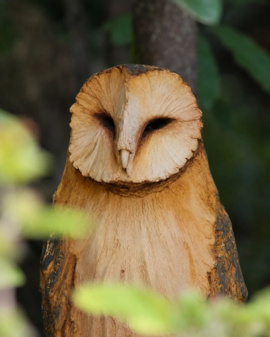 🦉 Sculpture Spotlight | Owl Posting by Abby Martin

Keep an eye out for this beautifully carved owl, nestled amongst the greenery at Leonardslee. 🌿

With its intricate feather detailing and natural wooden texture, this sculpture feels right at home