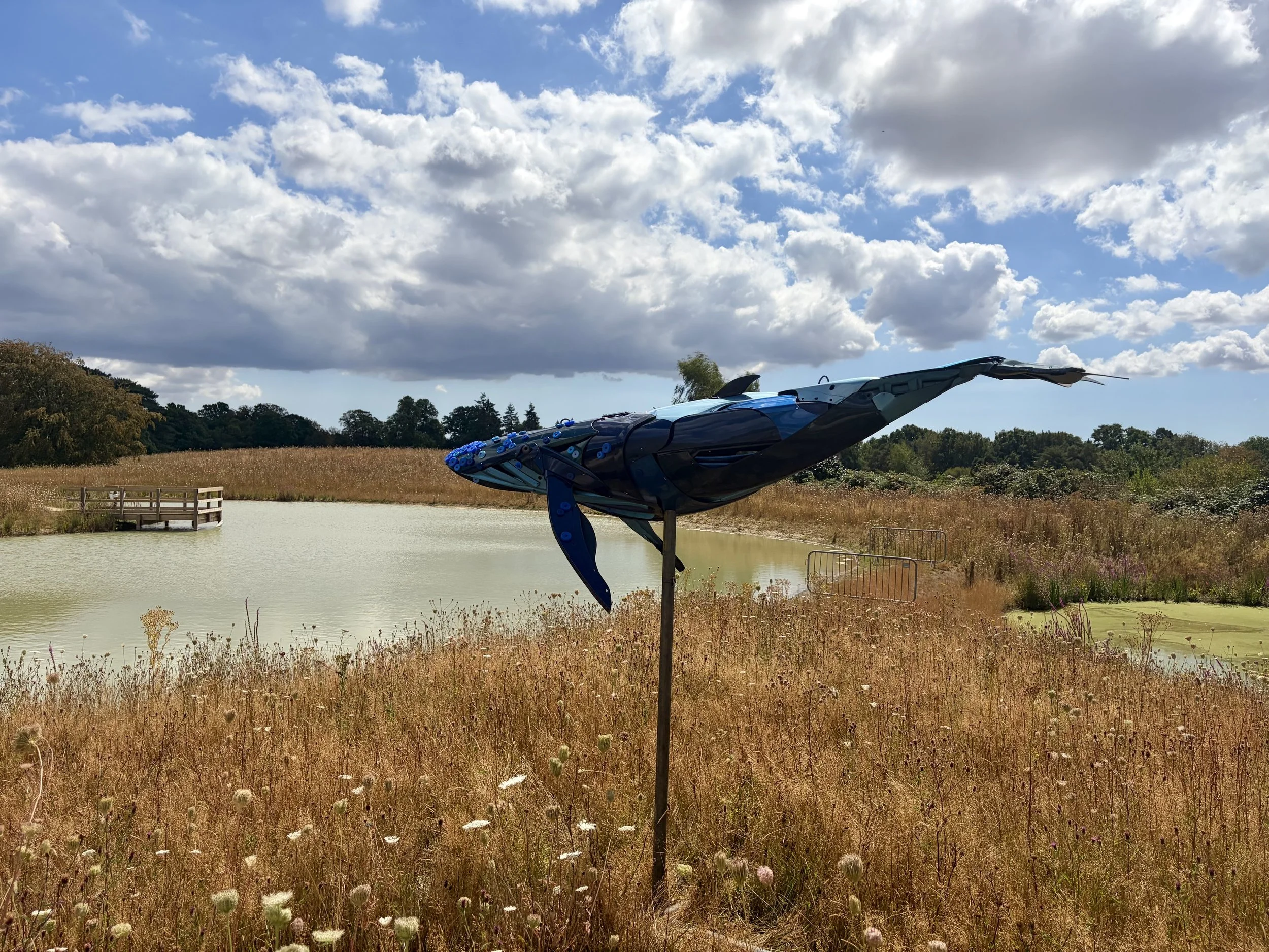 Blue Whale | Ptolemy Erlington  