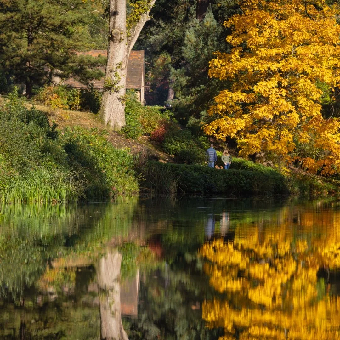 Autumn Leonardslee Lakes & Gardens (1).jpg