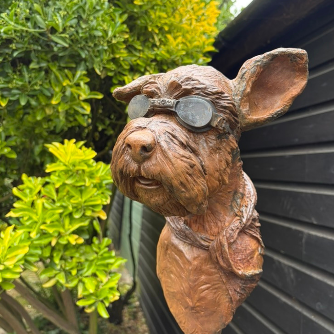  Schnoggles | Angie Doy