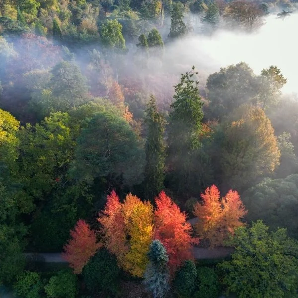The First Signs of Autumn at Leonardslee Lakes &amp; Gardens