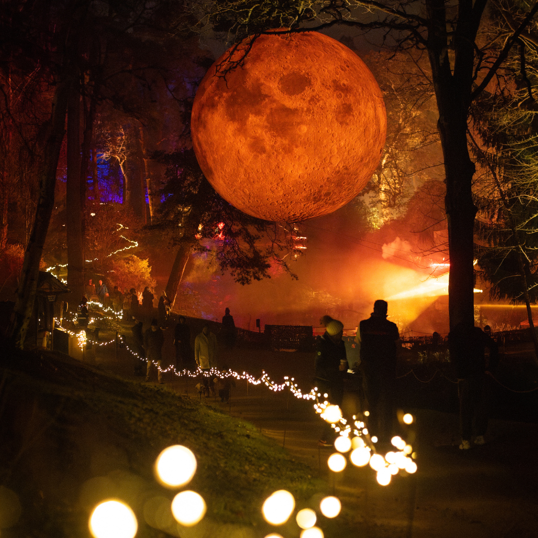Leonardslee Lights 2025 (2).png