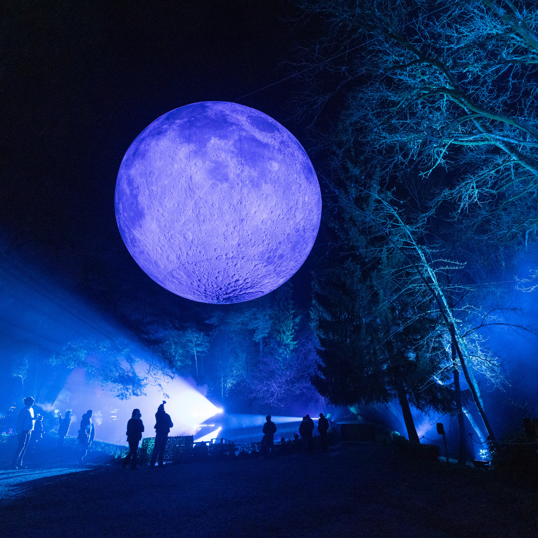 Leonardslee Lights 2025 (2).png