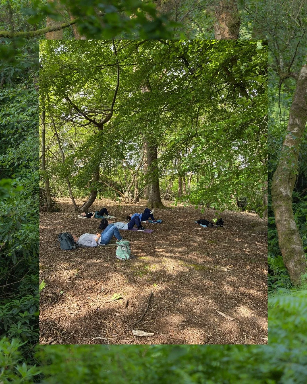 Take a moment to slow down and reconnect with nature. 🌿

Our next monthly Forest Bathing session takes place at Leonardslee on 12 September, 10:00&ndash;12:30, guided by Emma Weaver. Wander through the woodland, enjoy guided mindfulness practices an