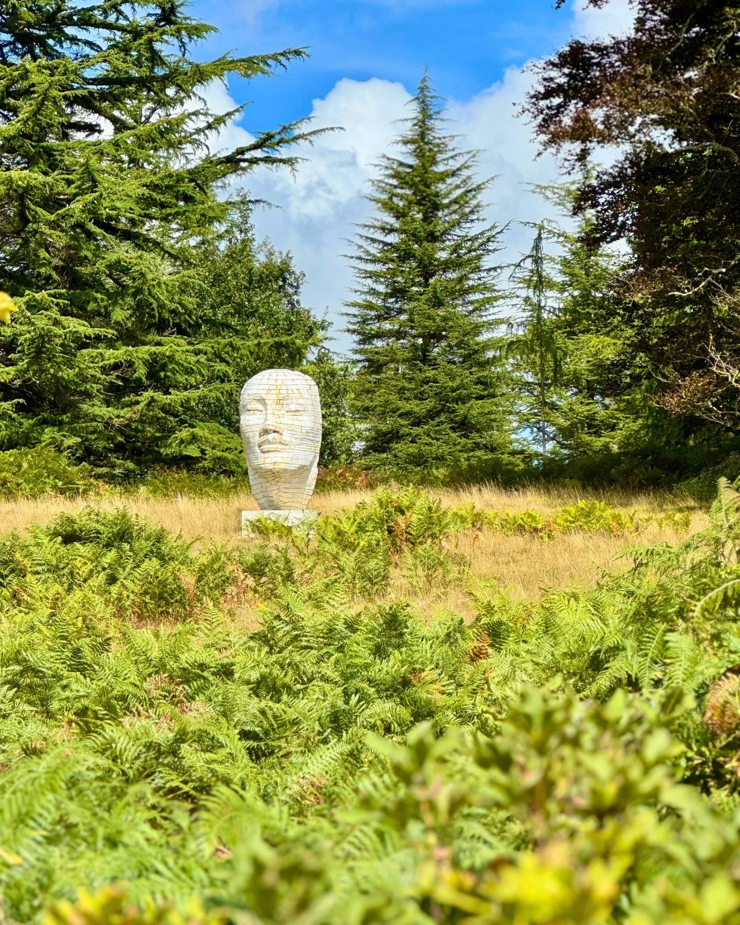 September is beginning to settle over the Deer Park. 🌿

The bracken is starting to turn, the light feels a little softer, and there's a quiet sense that the seasons are beginning to change. It's one of our favourite times to explore this peaceful co