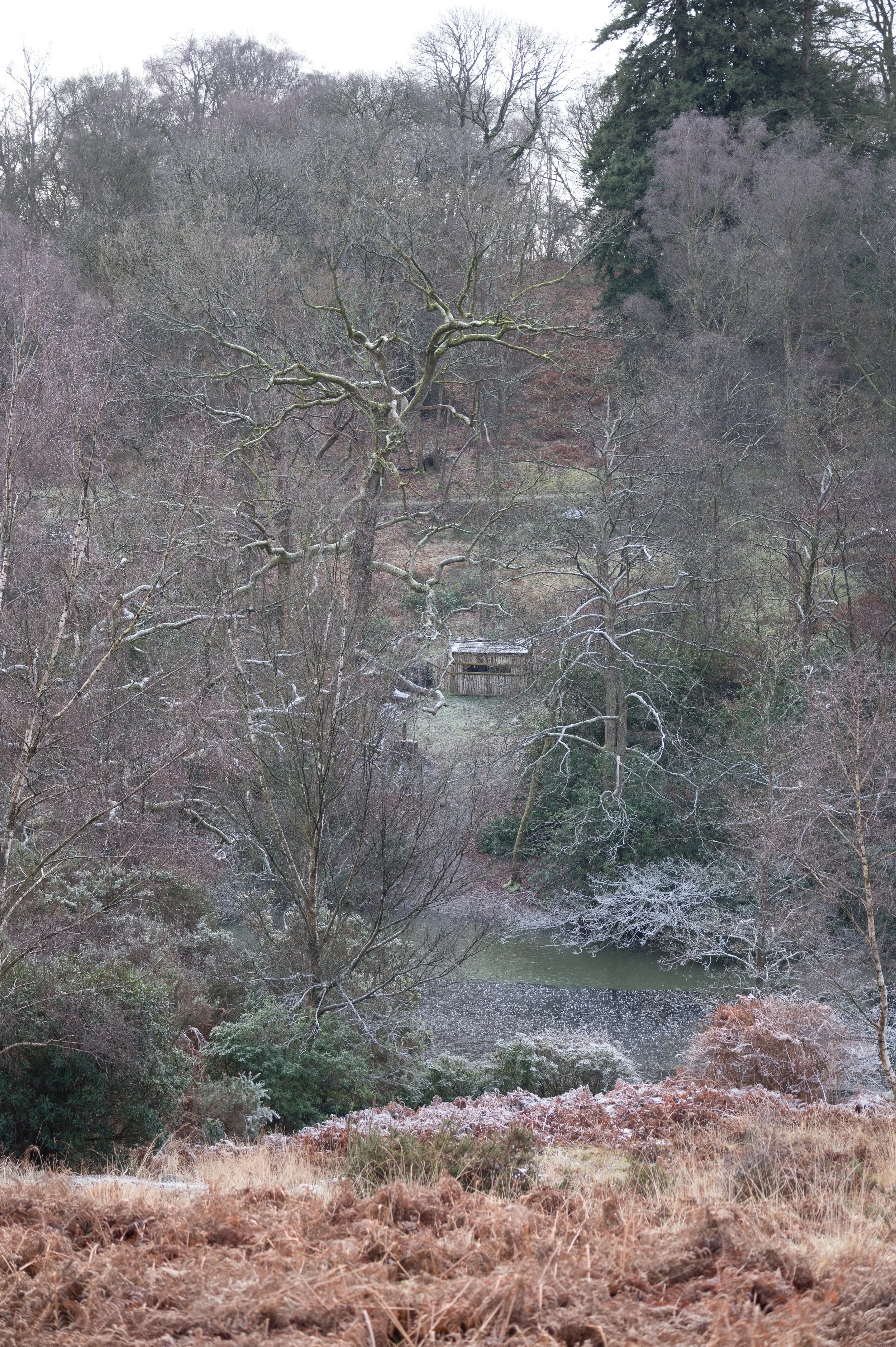 Winter at LLG.jpg