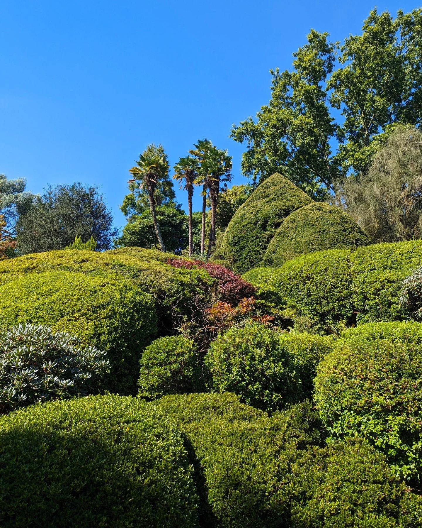 🍃 The Rock Garden has a way of looking different every time you visit.

As the seasons begin to shift, new colours and textures start to emerge, giving this historic corner of Leonardslee a character all of its own. 🌿✨

Have you explored the Rock G