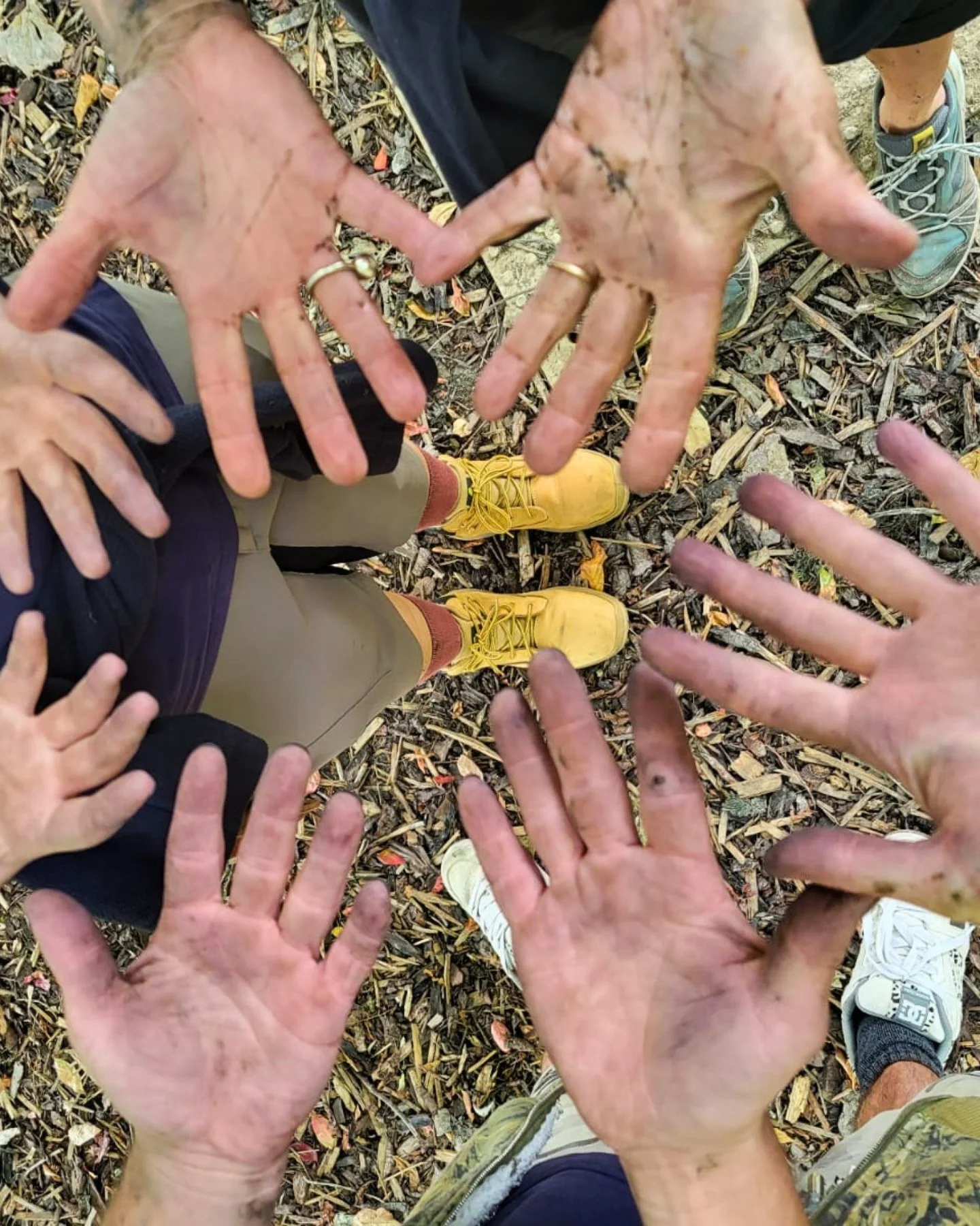 The hands behind the gardens. 🌿

From planting and pruning to restoring and caring for every corner of the estate, our gardening team works tirelessly throughout the seasons to keep Leonardslee looking its best.

A little dirt is all part of the job