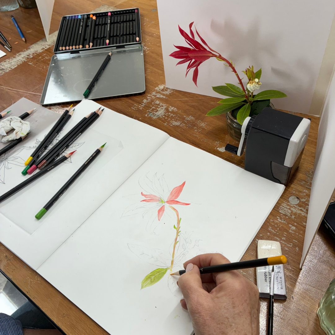 Botanical Illustration Workshop.png