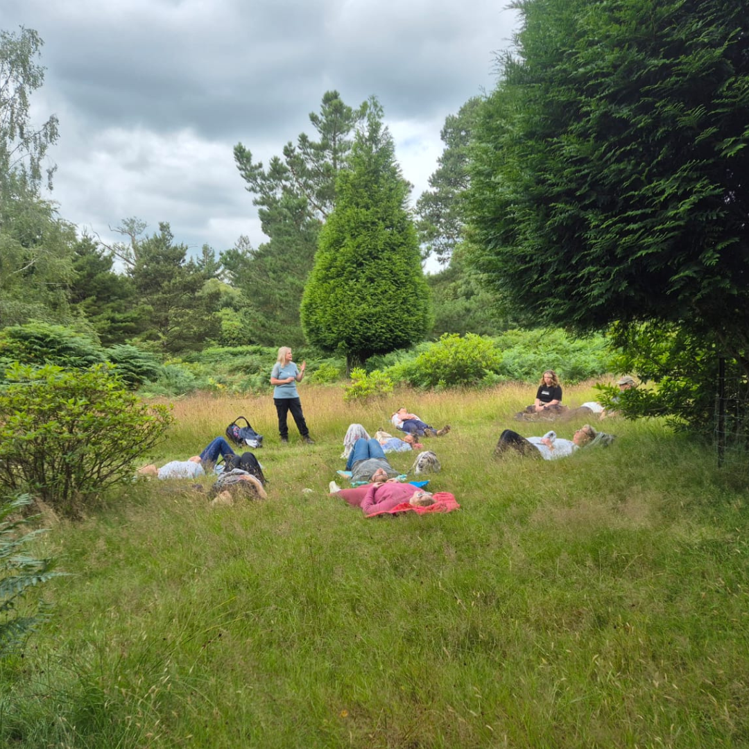 Forest Bathing (3).png