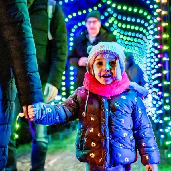 Leonardslee Lights  (1).jpg