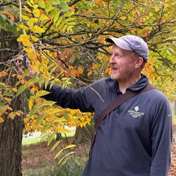Autumn garden walk at Leonardslee .jpg