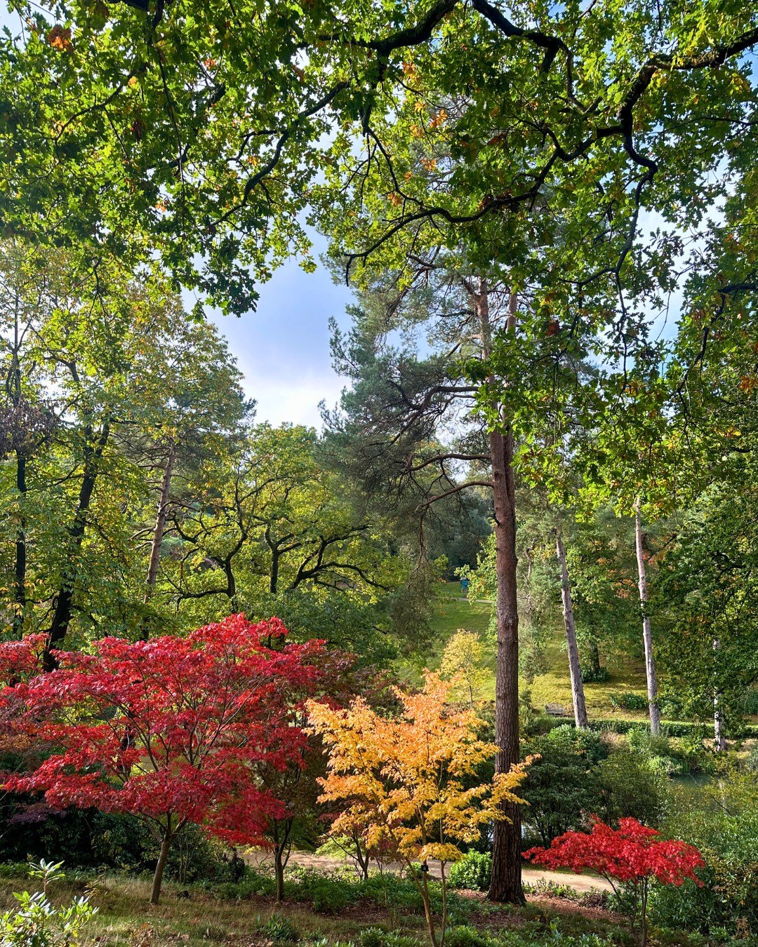 No two walks through Leonardslee are ever quite the same.

As the colours continue to change, familiar paths reveal new perspectives, making every visit feel like a fresh discovery!

#LeonardsleeGardens #NatureWalk #AutumnColours