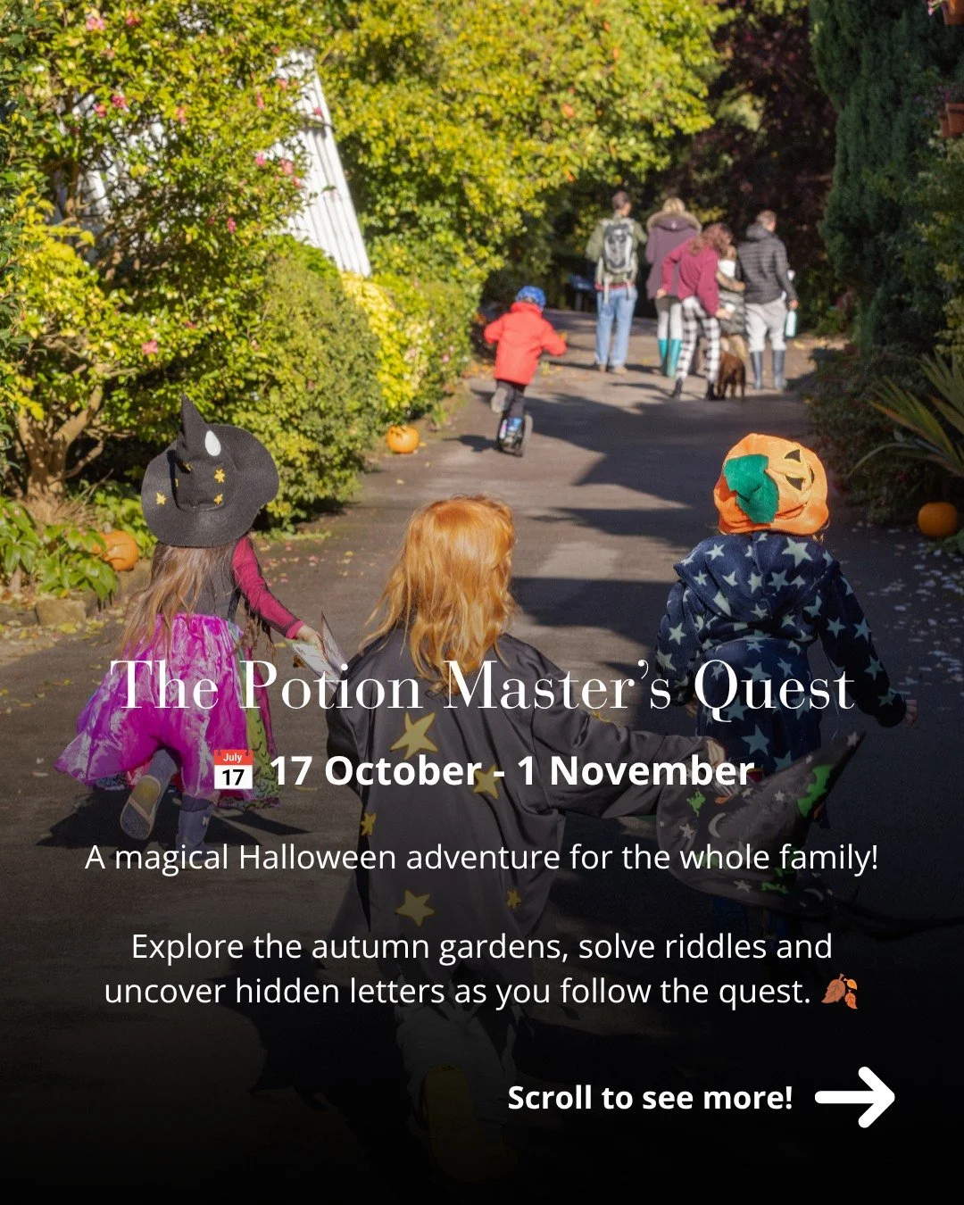 Ready to take on The Potion Master&rsquo;s Quest? 🧪🎃 There&rsquo;s still time to join the adventure this October half-term!

👉 Book your tickets via the link in our bio.

#Leonardslee #PotionMastersQuest #HalloweenAtLeonardslee #HalfTerm #FamilyDa