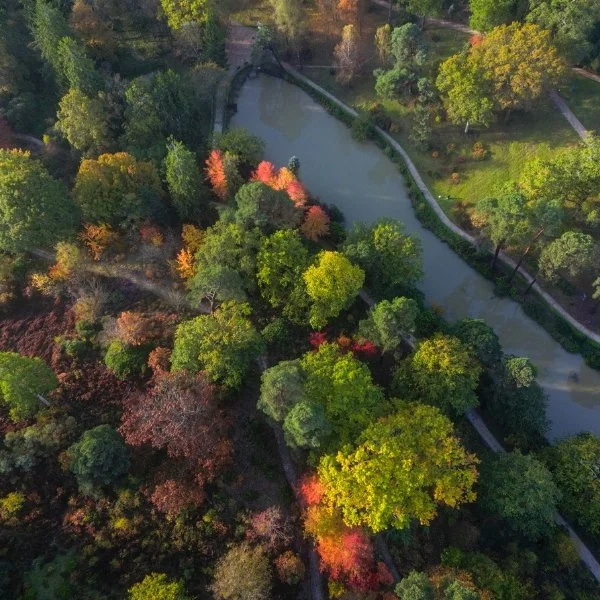 Autumn at Leonardslee (2).jpg
