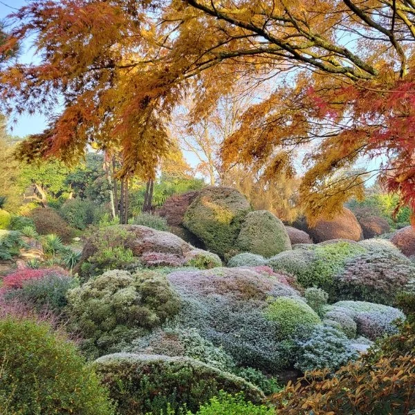 Autumn at Leonardslee (4).jpg