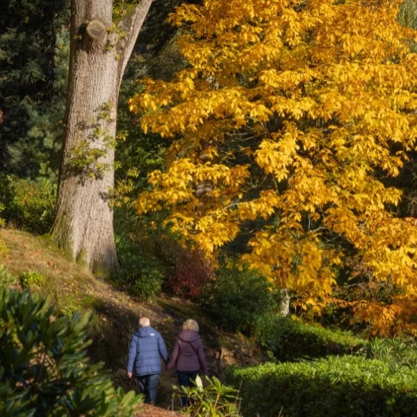 Leonardslee gardens - autumn (4).jpg