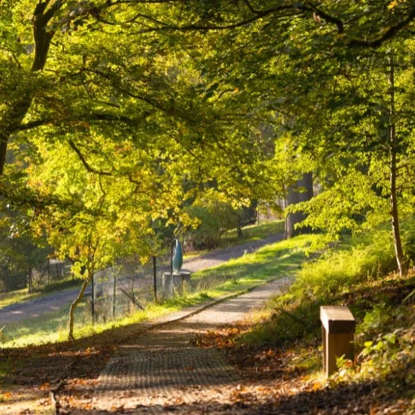 The Hidden History of Leonardslee Gardens in Autumn