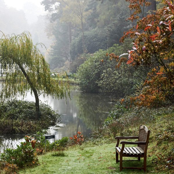 Garden News | November 2026