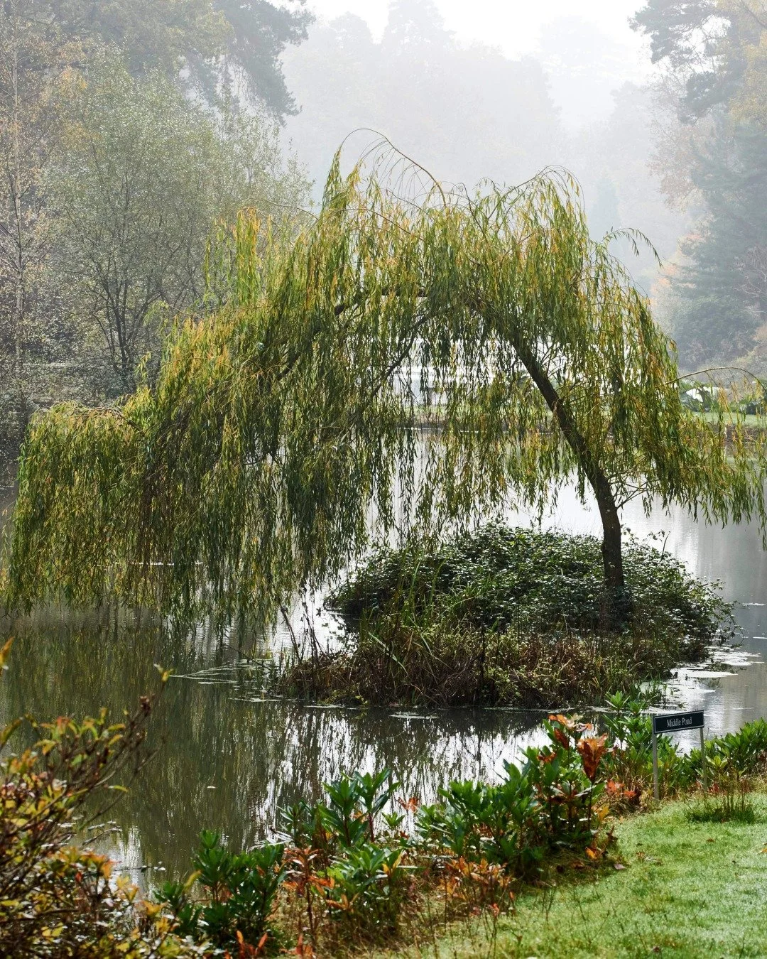Late October has its own kind of beauty.

Misty mornings, golden afternoons and leaves carpeting the woodland floor make this one of the most atmospheric times to visit Leonardslee. 🍂

#LeonardsleeGardens #AutumnWalks #VisitSussex