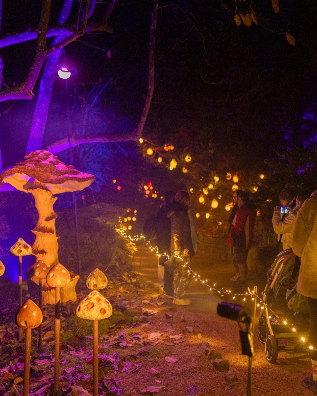 ✨ Make the most of Leonardslee Lights as a member! 🎄🌟

Did you know that Leonardslee members can enjoy a free ticket to Leonardslee Lights? It&rsquo;s just one of the perks of being a member, making it even easier to experience the magic of A Midwi