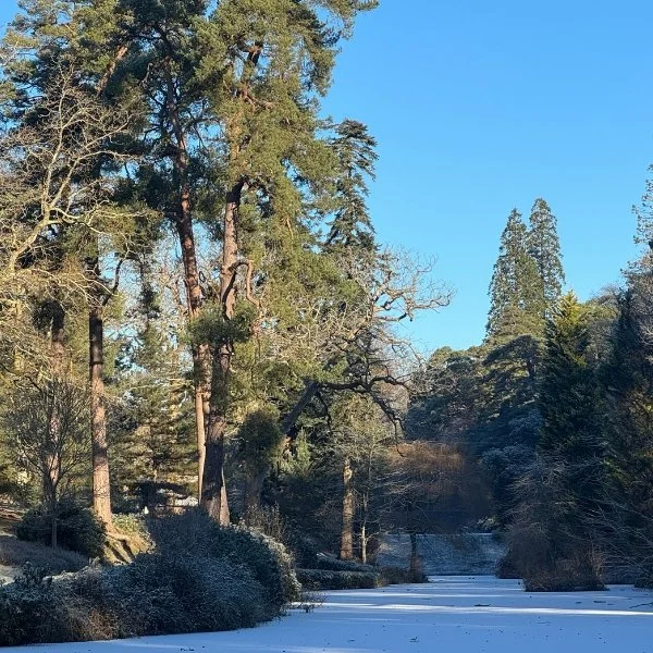 Preparing the Garden for Winter
