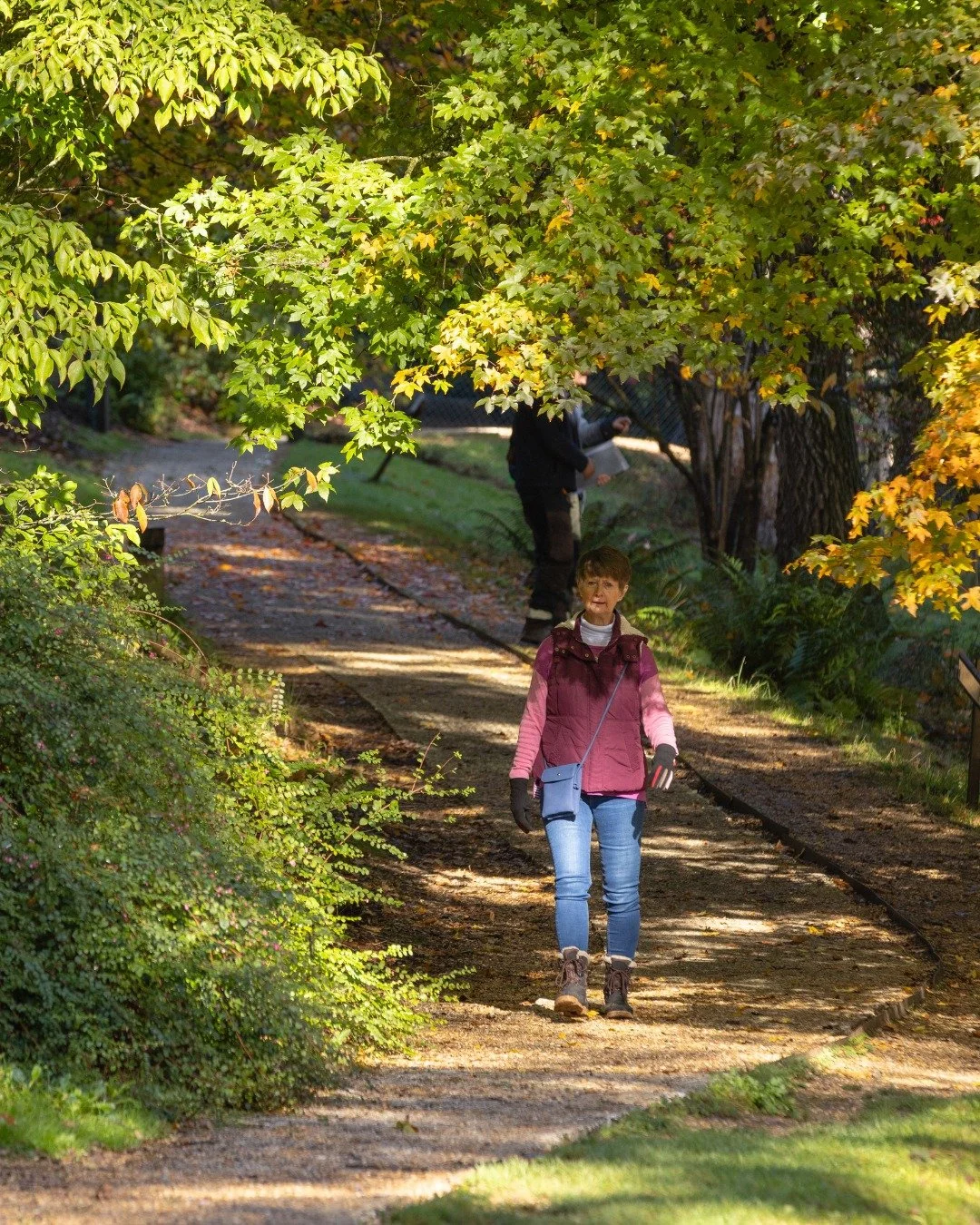 A stroll through the gardens, followed by a visit to the Clocktower Kitchen or a glass of Leonardslee sparkling wine... 🍷🍂

Sounds like the perfect way to spend an October afternoon.

#LeonardsleeGardens #VisitSussex #AutumnDays #EnglishWine